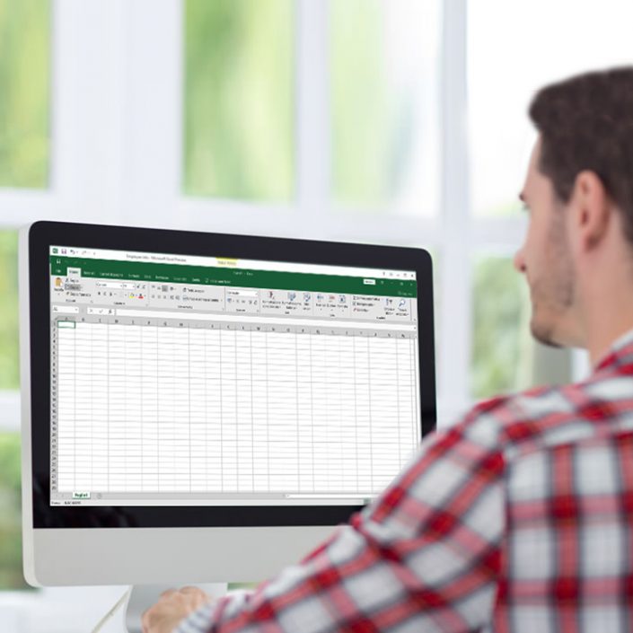 EXCEL